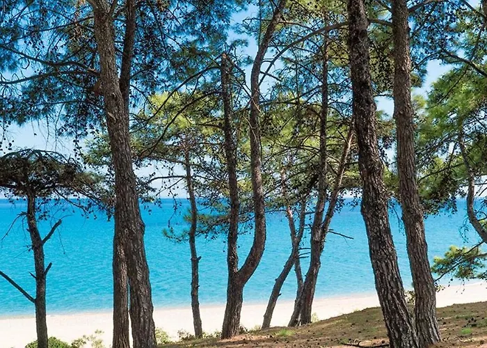 Apart Otel Blue Jasmine Skala (Kefalonia)