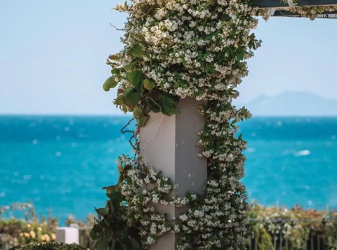 Hotel apartamentowy Blue Jasmine